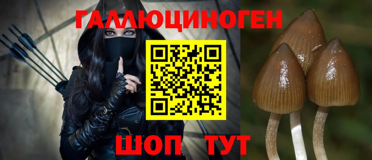 Галлюциногенные грибы GOLDEN TEACHER Чайковский