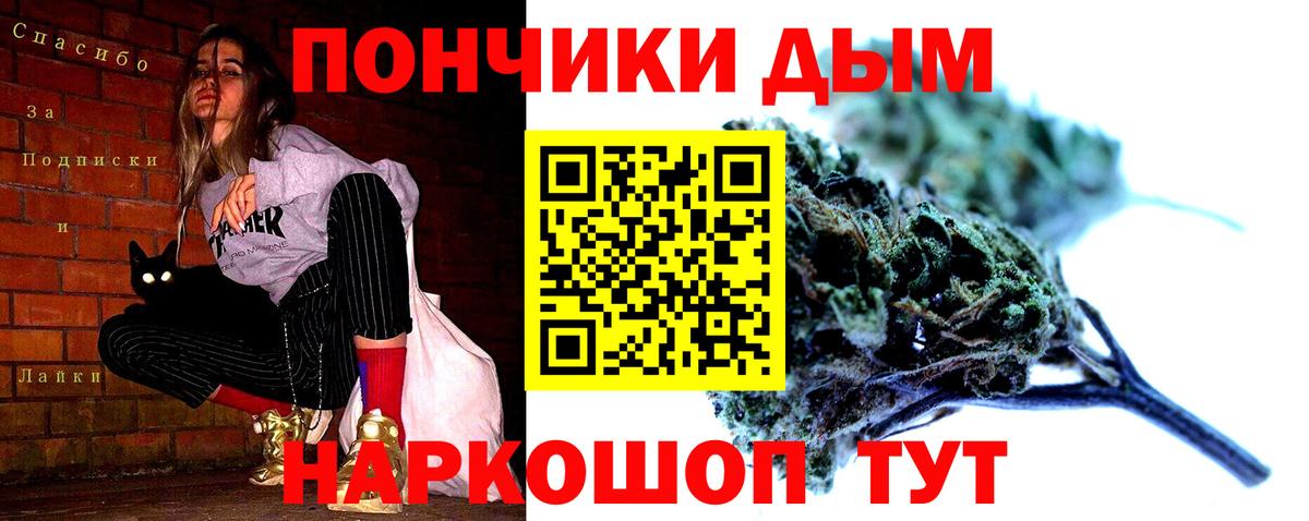 Канабис гибрид Чайковский